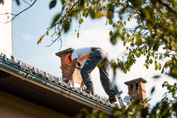 Best Metal Roofing Contractor  in Dooms, VA