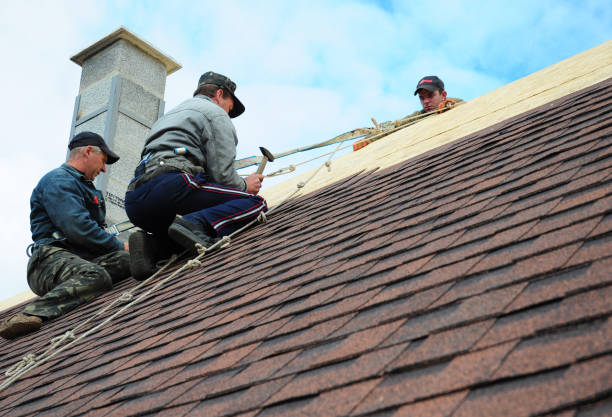 Best Metal Roofing Contractor  in Dooms, VA